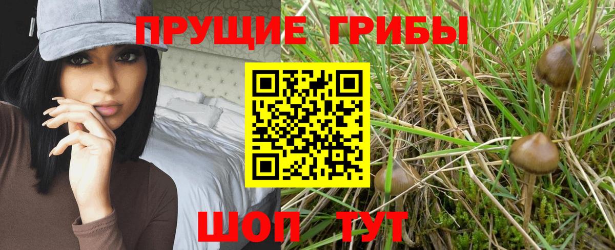 Галлюциногенные грибы мухоморы Выборг