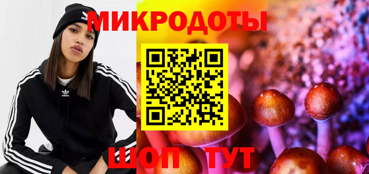 Псилоцибиновые грибы MAGIC MUSHROOMS  Вход с VPN  Псилоцибиновые грибы MAGIC MUSHROOMS  Выборг 